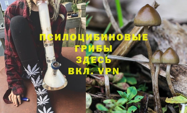 скорость Алексеевка