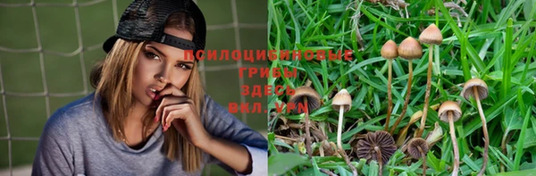 скорость Алексеевка